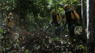 Firefighting team in training