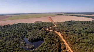 Legal Amazon on Mato Grosso state Center west rigion of Brazil 