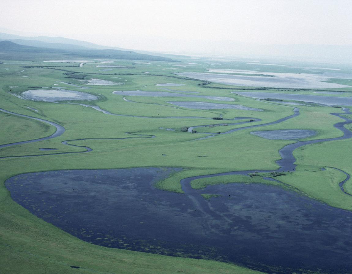 Amur (Heilong) River Basin | WWF Amur (Heilong) River Basin | WWF