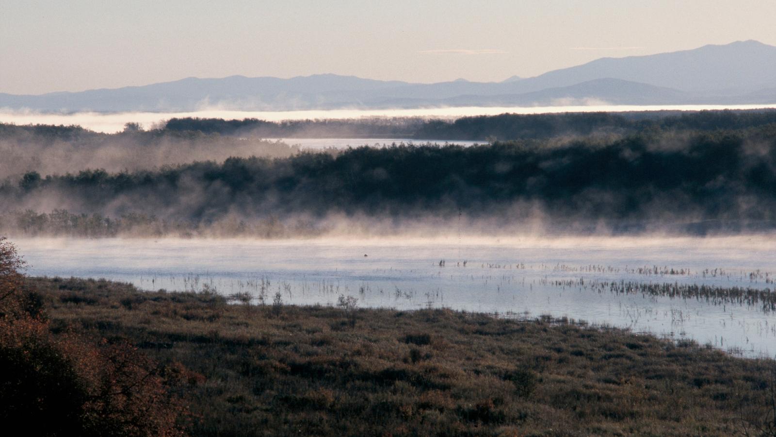 amur heilong wwf