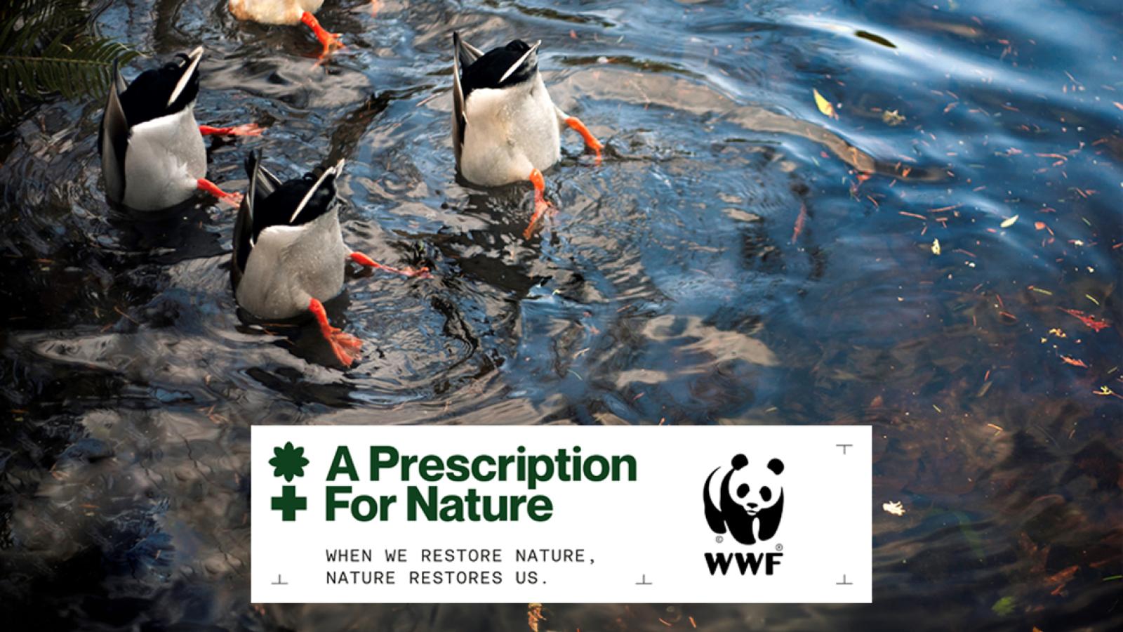 World Wide Fund for Nature | WWF