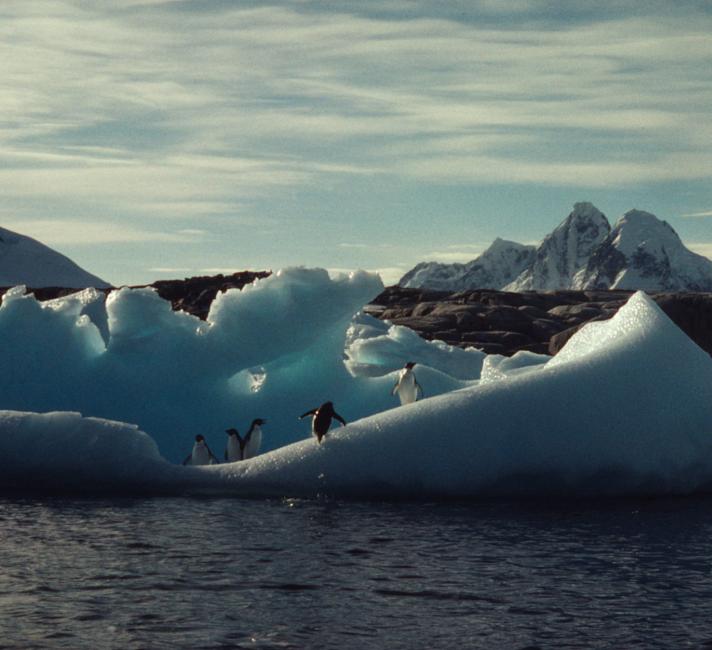 Penguins on an iceberg Antarctica