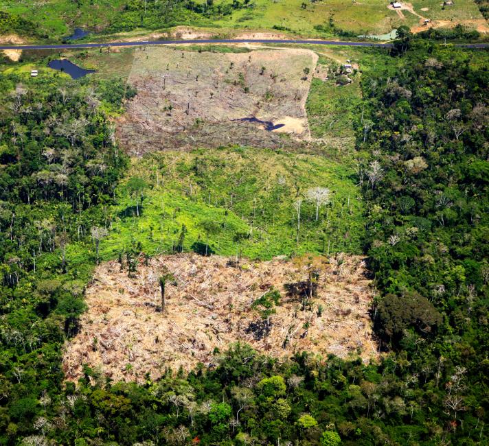 Aerial shot showing deforestation in Amazon rainforest