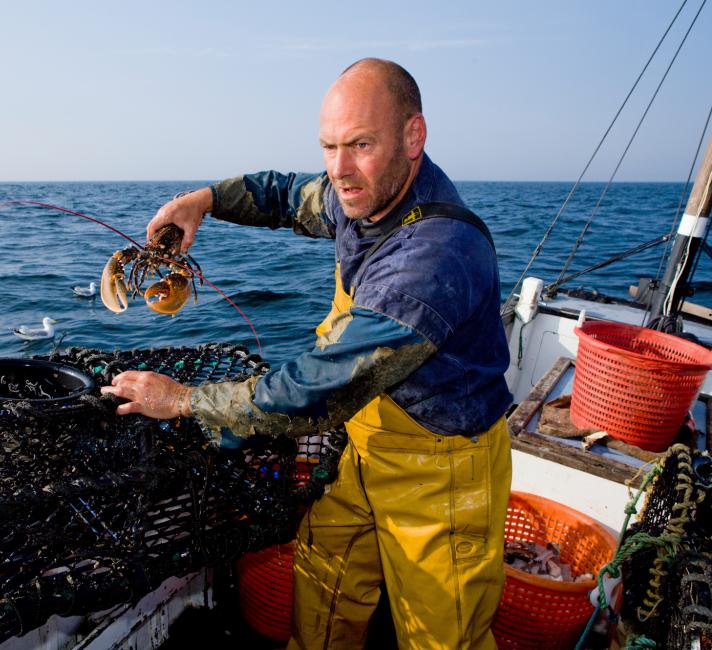 Fisherman holding a European lobster