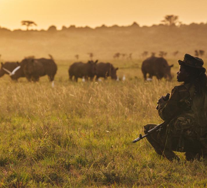 Why we need to protect the wildlife | WWF Why we need to protect the wildlife | WWF