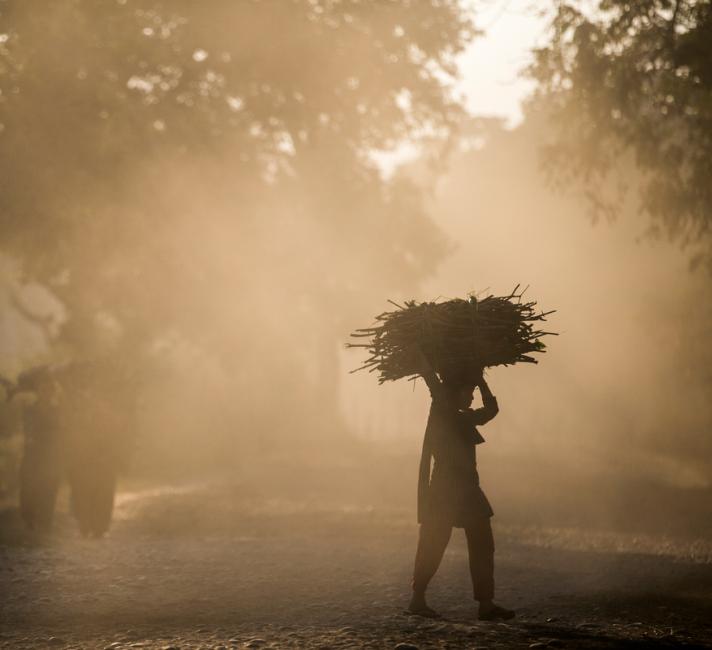 Carrying firewood in Khata corridor, near Bardia National Park, Nepal.