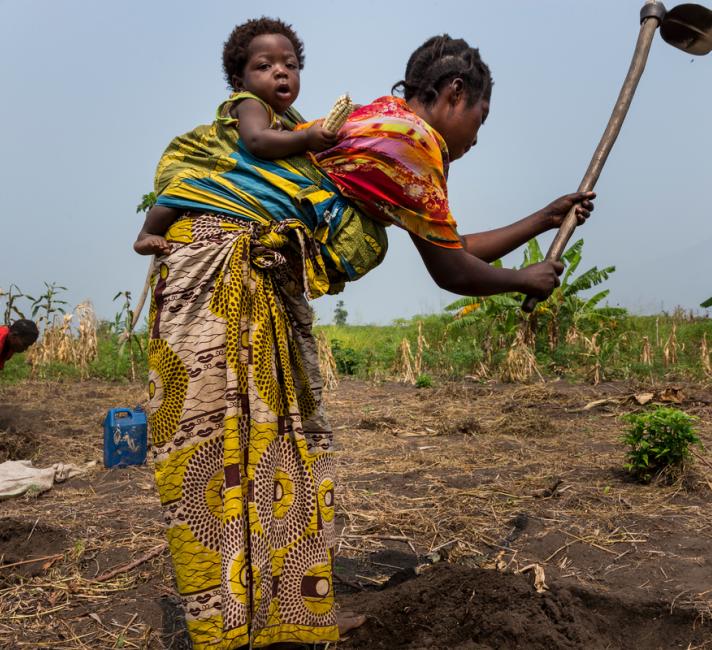 Women preparing a Kasava field