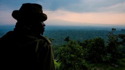 View from Rumangabo over the Volcano section of Virunga National Park, Democratic Republic of the Congo.