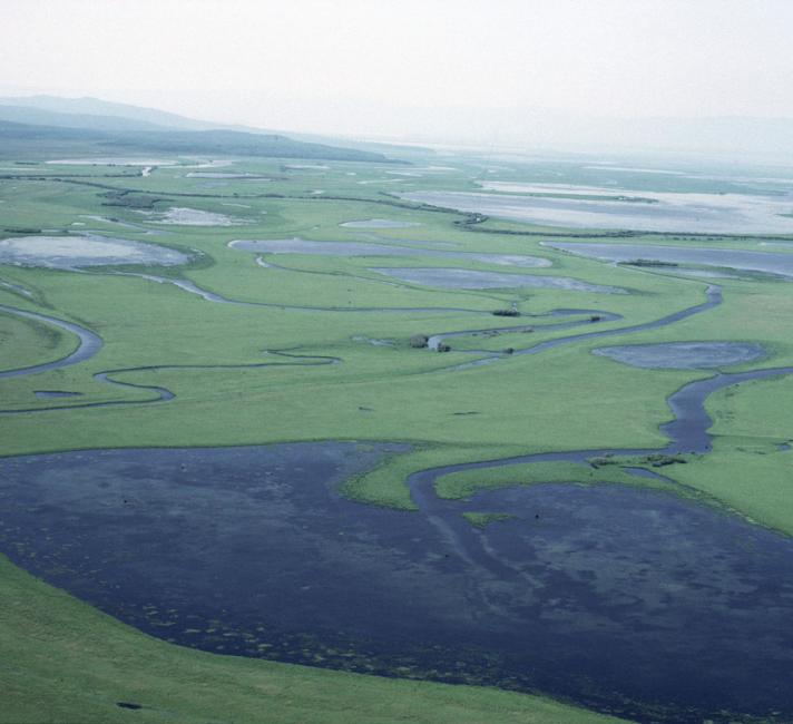 Floodplains of the Amur river. Aerial view. Siberia, Russian Federation.