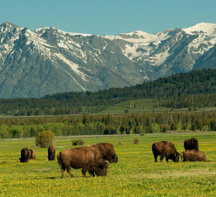 The Grand Teton mountain range