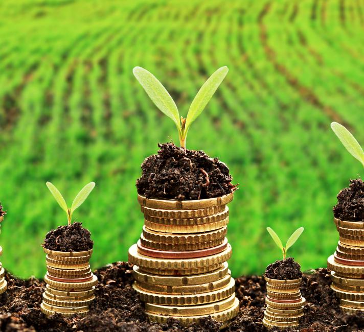 Currency and money in soil © Shutterstock Currency and money in soil with young plant seedlings representing sustainable develepment
