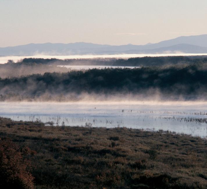 Amur floodplain