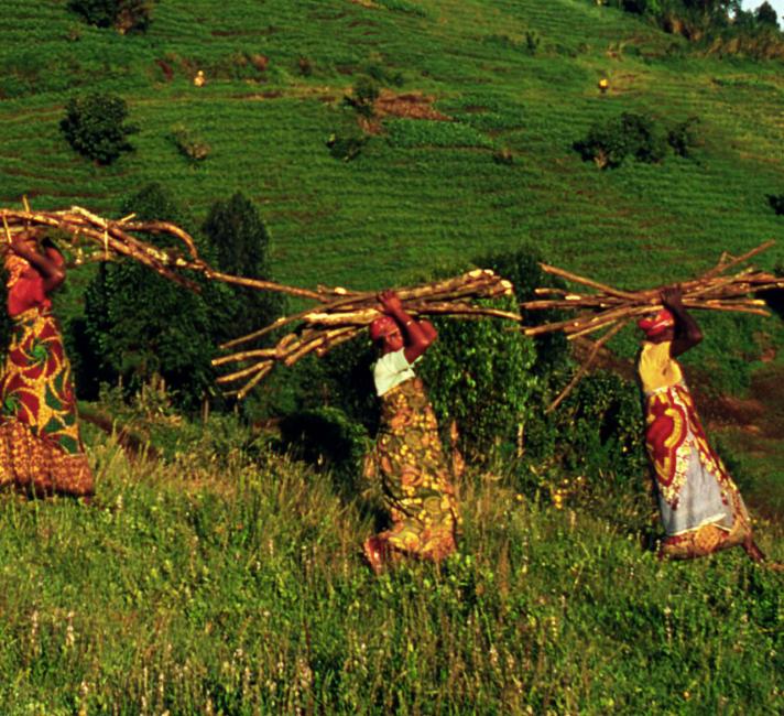 Women gathering wood on the edge of Virunga National Park