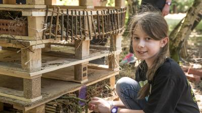 Pupils creating a bug hotel during the Green Ambassador Summit 2015 © Richard Stonehouse / WWF-UK