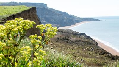 Isle of Wight Challenge