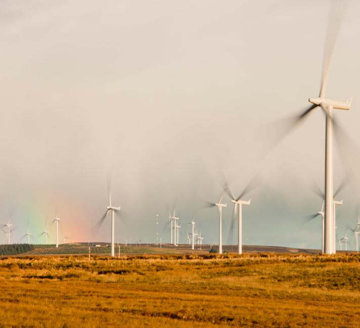 A rainbow over Whitlee wind farm