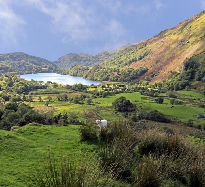 Llyn Gwynant, Snowdonia National Park, Wales