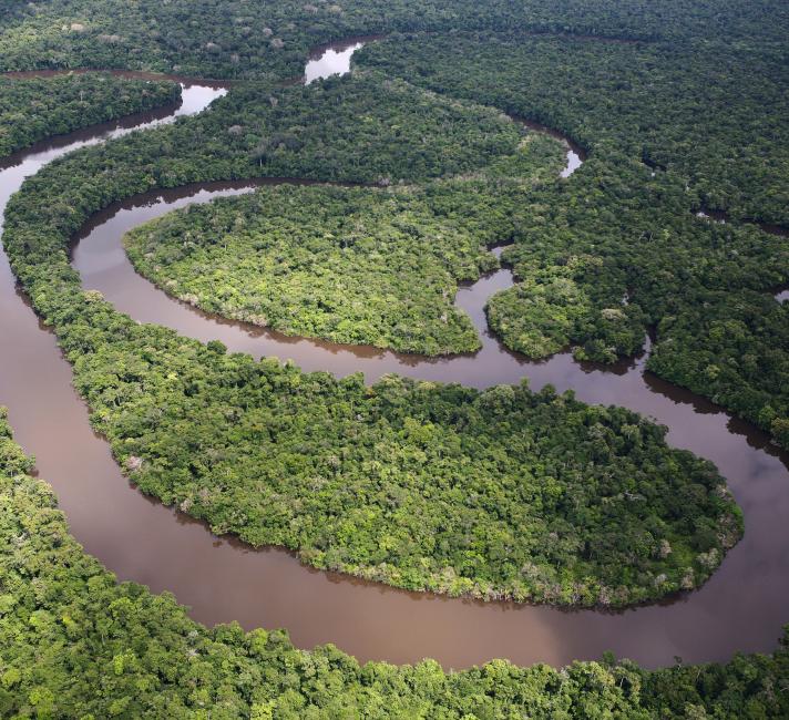 Aerial shot of a winding river, Amazon rainforest