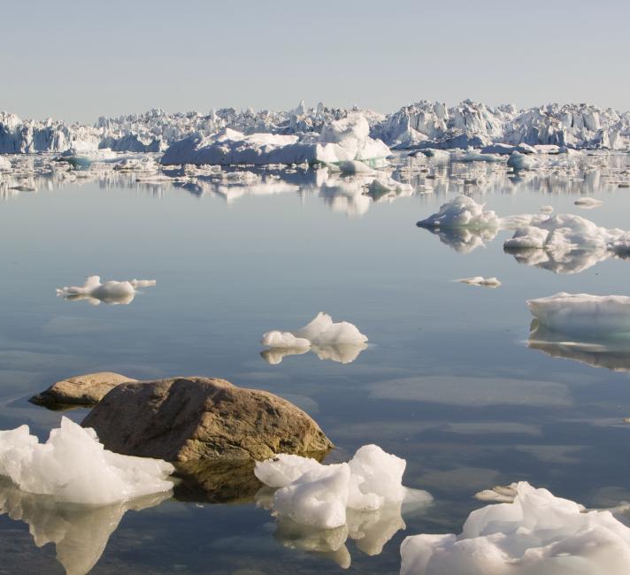 Icebergs from the Jacobshavn glacier