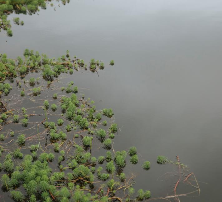 Dongting Lake, Yangtze River Basin, China.