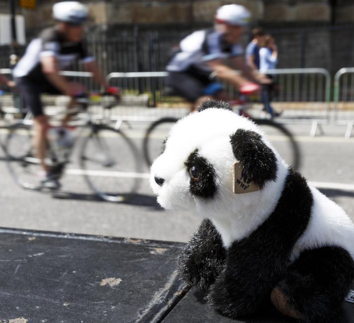 Cycling Events Wwf