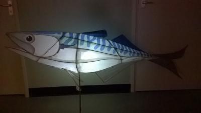 Fish Lantern