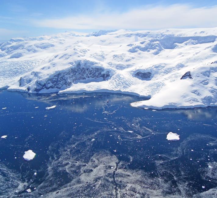 Flying over Gentoo penguin colonies, Neko Harbour, Antarctica