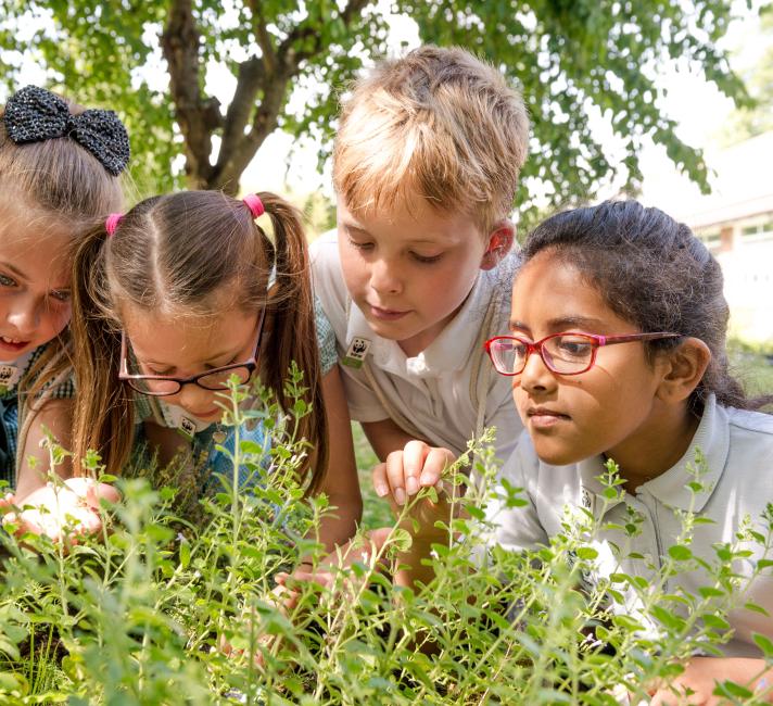 Tes and Warren Road Primary, Green Ambassador School of the year 2017 © Richard Stonehouse / WWF-UK