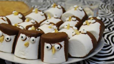 Wear it wild cake ideas