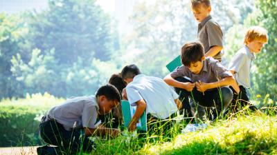 Green Ambassador Schools