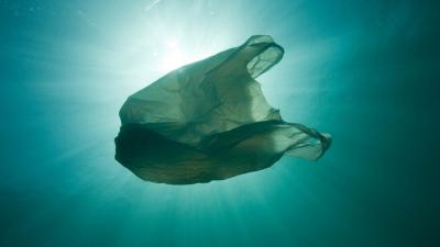 Plastic bag in sea