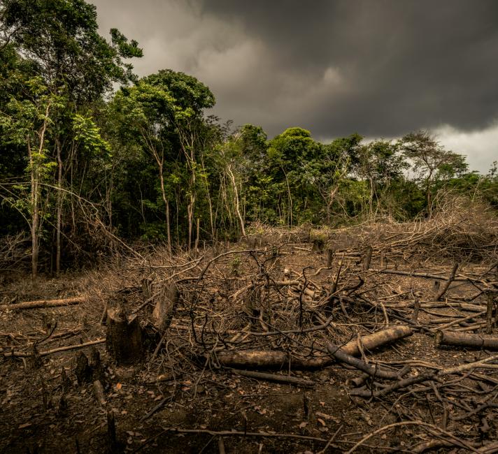 Amazon deforestation, Colombia.