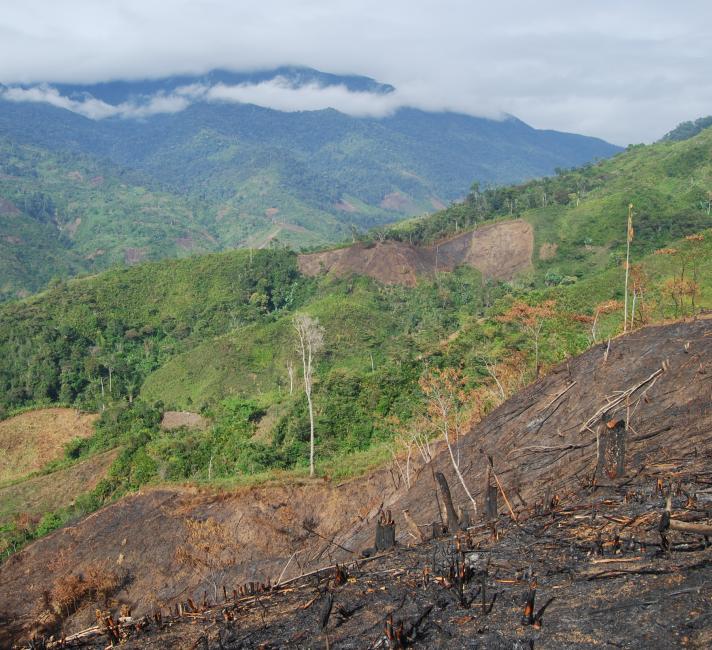 Ricefields Tavy (slash and burn) in Ambodihasina