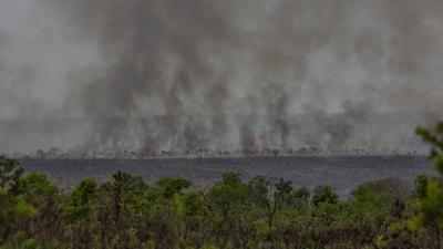 Fire in the Cerrado