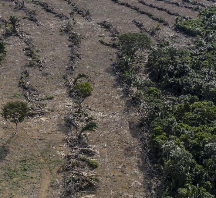Deforestation next to a soybean plantation along the BR-364 highway near the Jamari River, Rondônia.