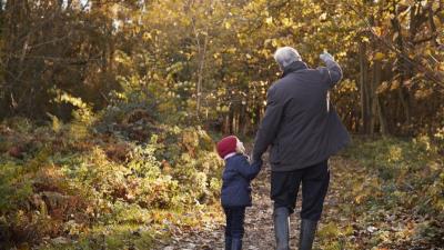 Walking through woodland