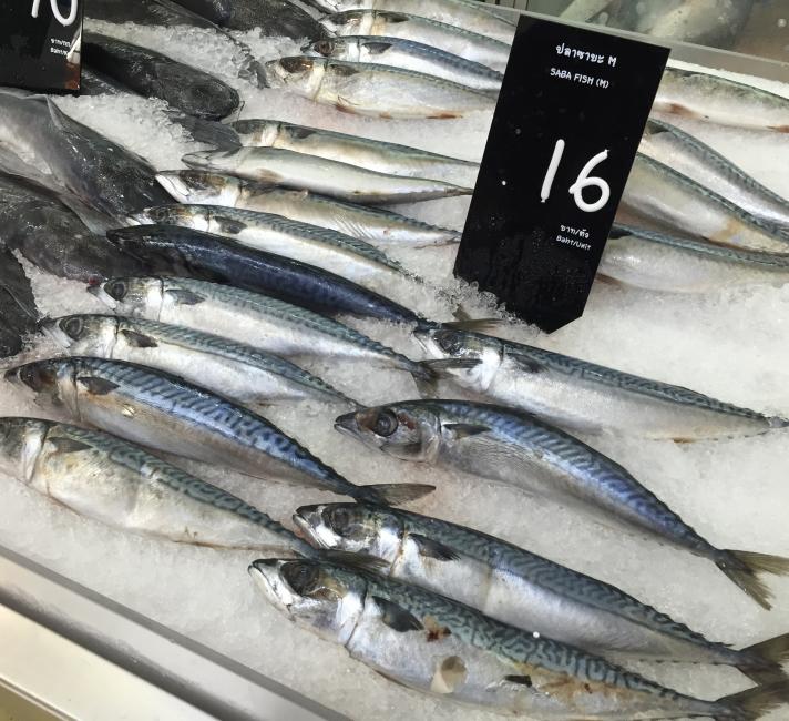 Atlantic Mackerel, Thailand