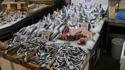 Fish Stall, Athens