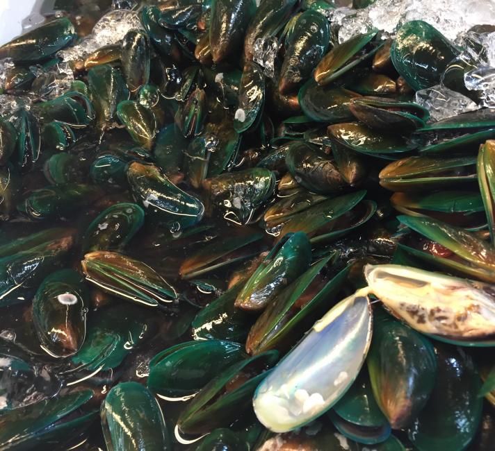 Green mussels, Thailand 