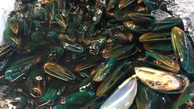 Green mussels, Thailand 