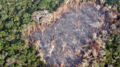 Amazon deforestation