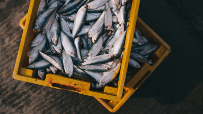 Crated Fish