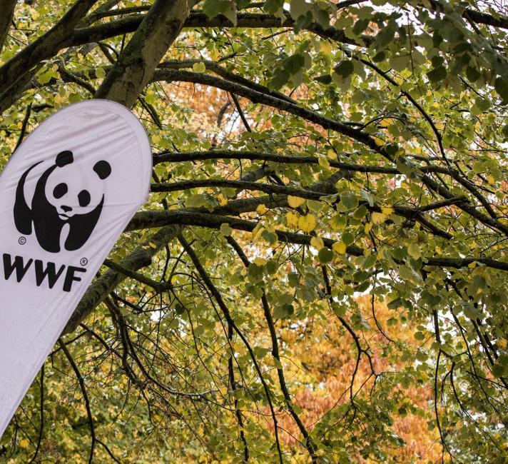 WWF Flag WWF Flag