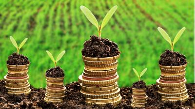 Currency and money in soil