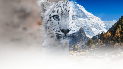 test header