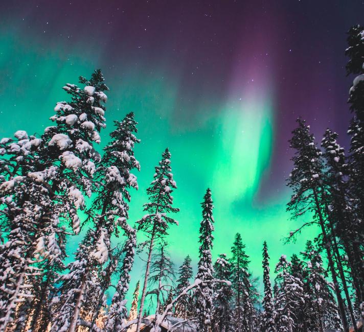 green vibrant Aurora Borealis, Aurora Polaris, also know as Northern Lights 