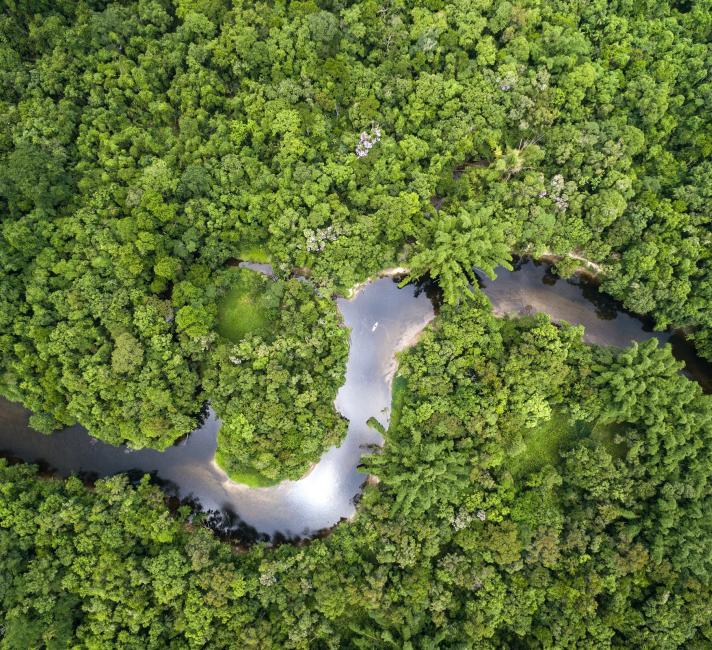 Aerial view of Amazon rainforest, Brazil 