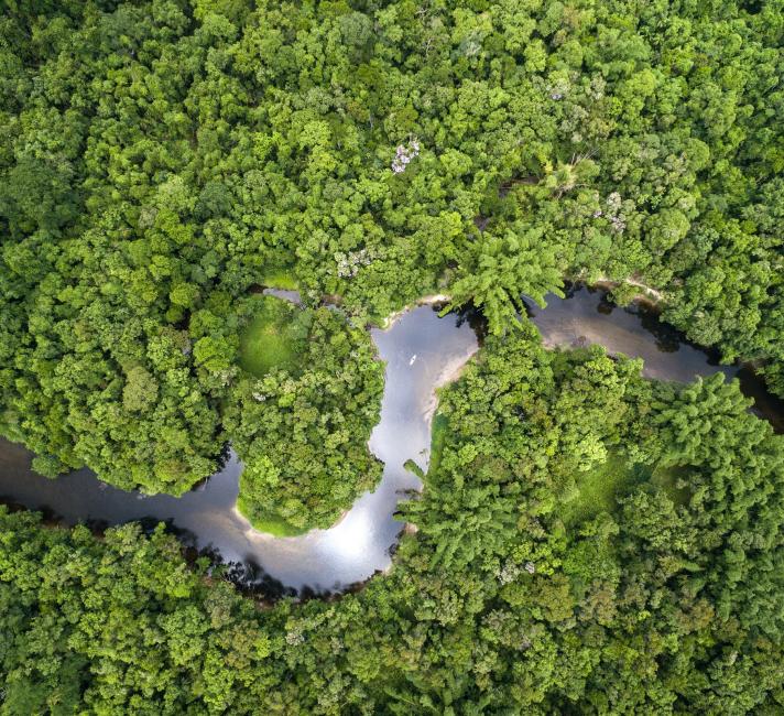 Aerial view of Amazon rainforest, Brazil Aerial view of Amazon rainforest, Brazil