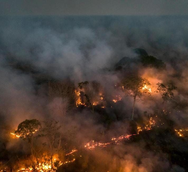 Amazon Rainforest deforestation and fire Amazon Rainforest deforestation and fire