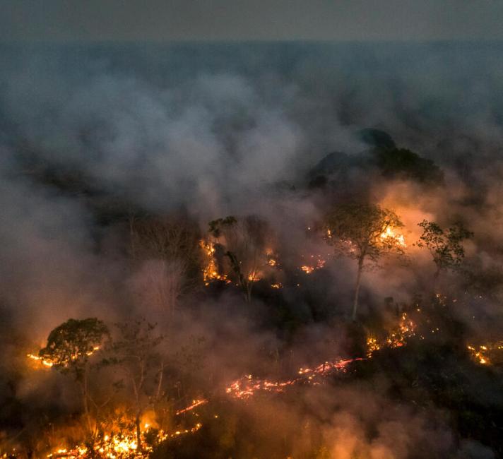 Amazon Rainforest deforestation and fire